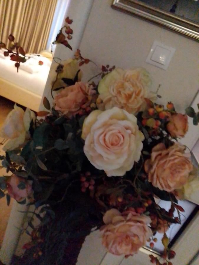 Casa Maria Roses Hotel Rîşnov Eksteriør billede