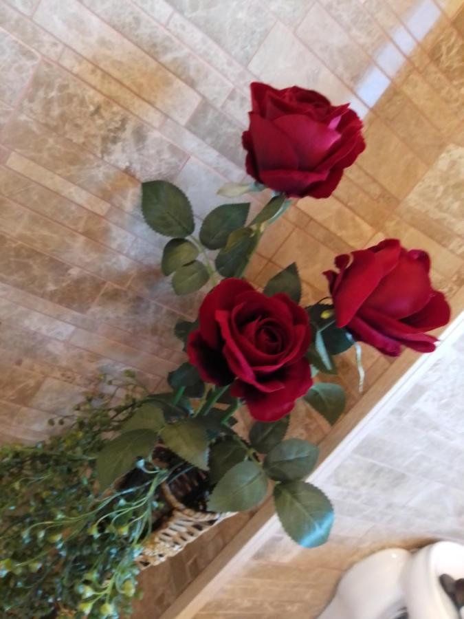 Casa Maria Roses Hotel Rîşnov Eksteriør billede