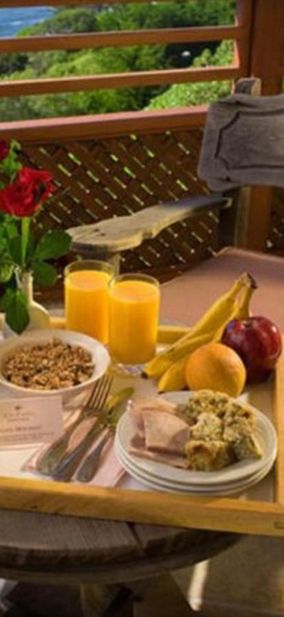 Casa Maria Roses Hotel Rîşnov Eksteriør billede