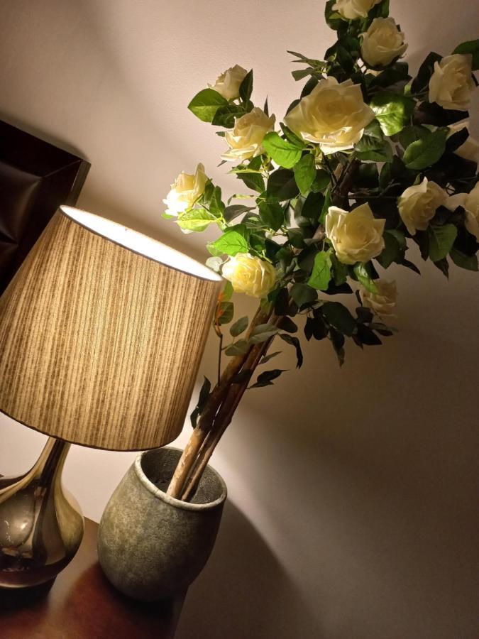 Casa Maria Roses Hotel Rîşnov Eksteriør billede