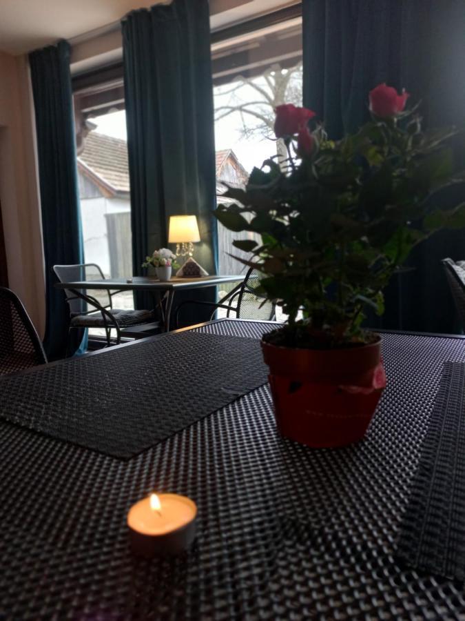 Casa Maria Roses Hotel Rîşnov Eksteriør billede