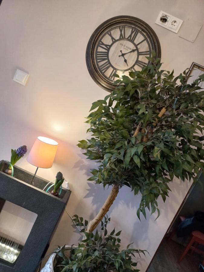 Casa Maria Roses Hotel Rîşnov Eksteriør billede