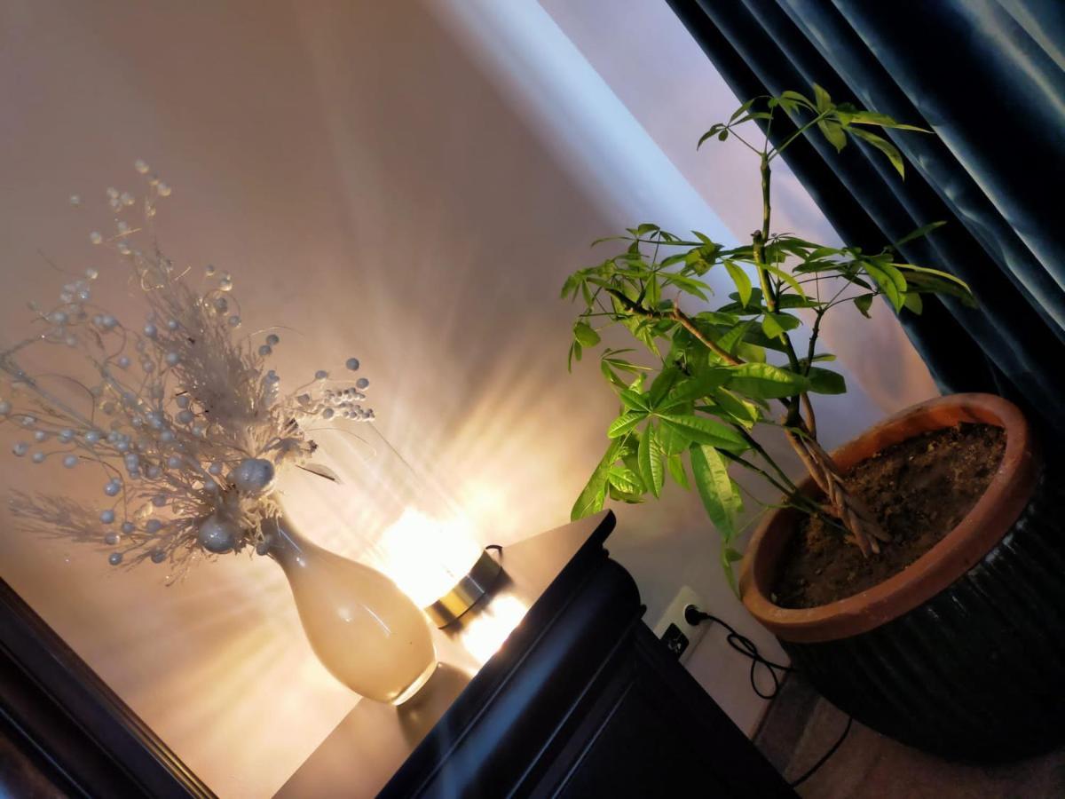Casa Maria Roses Hotel Rîşnov Eksteriør billede
